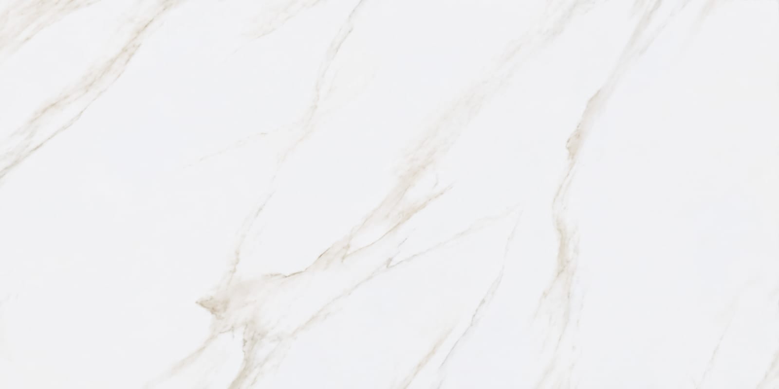 CASANIA 60X120 CFCJ36126617FH